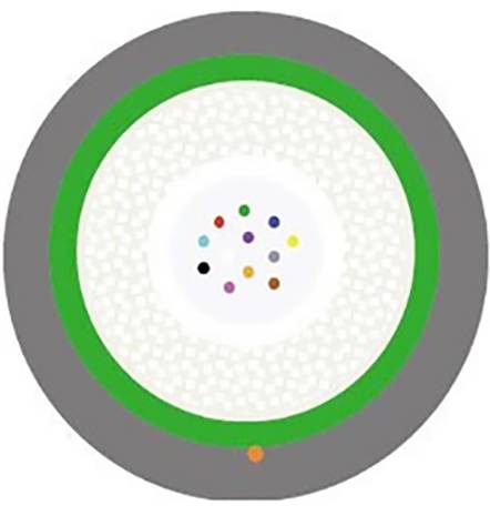 Kreisdiagramm mit einem grauen äußeren Ring, einem grünen inneren Ring und einem Cluster aus bunten Punkten in der Mitte, möglicherweise zur Darstellung von Daten oder Konzepten.