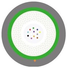 Ein mehrfarbiges Kreisdiagramm mit einem grauen äußeren Ring, einem grünen Rand im Inneren und kleinen bunten Punkten in der Mitte auf einem weißen Hintergrund.