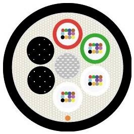 Das Bild zeigt ein rundes Muster mit mehrfarbigen Kreisen in roten und grünen Rahmen sowie schwarzen und weißen gemusterten Kreisen auf einem gepunkteten Hintergrund.