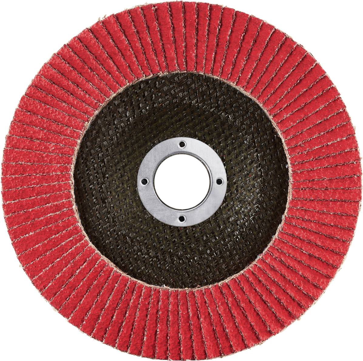 Rhodius 303919 JUMBO SPEED Fächerschleifscheibe Edelstahl, Stahl 10St.