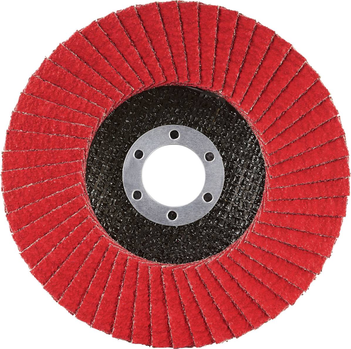 Rhodius 210623 JUMBO SPEED G Fächerschleifscheibe Edelstahl, Stahl 10St.