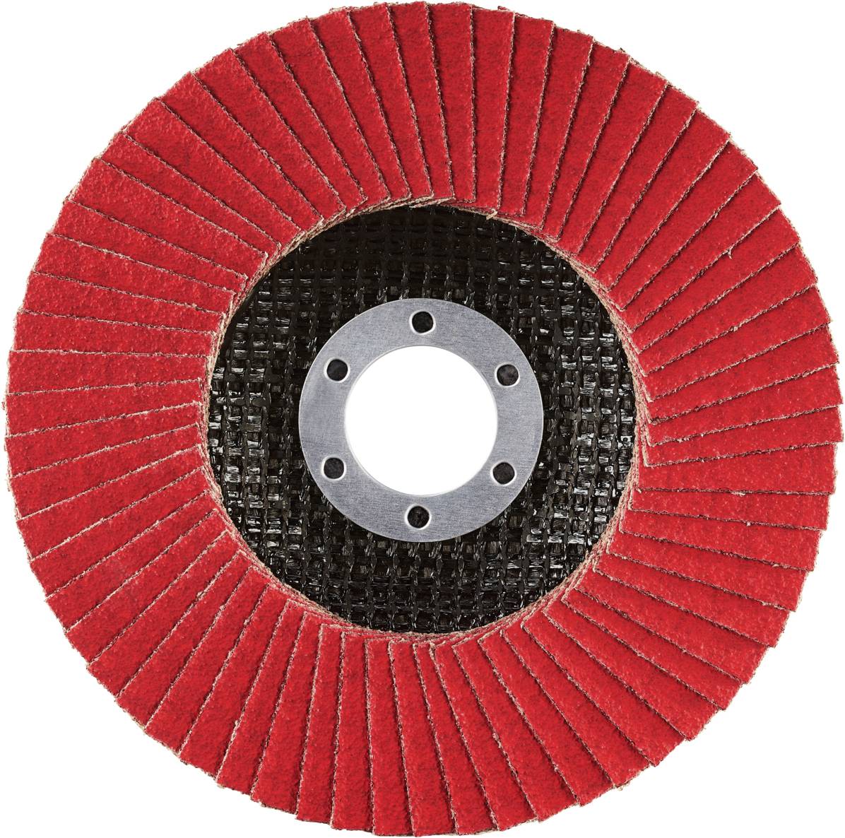 Rhodius 210624 JUMBO SPEED G Fächerschleifscheibe Edelstahl, Stahl 10St.