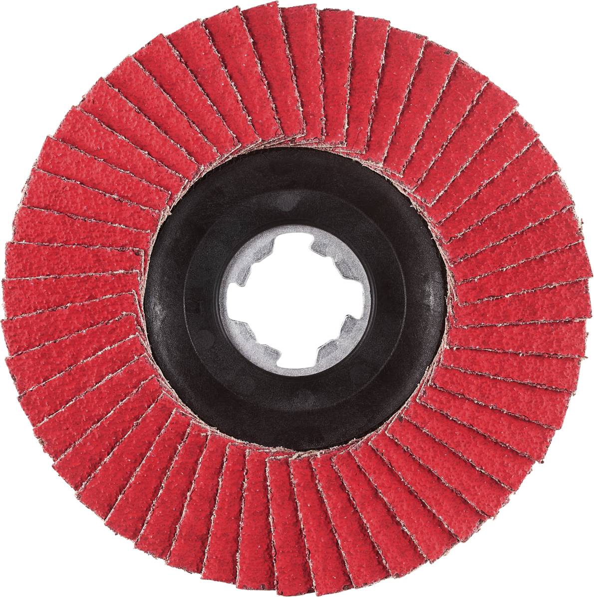 Rhodius 211398 JUMBO SPEED P X-LOCK Fächerschleifscheibe Edelstahl, Stahl 10St.