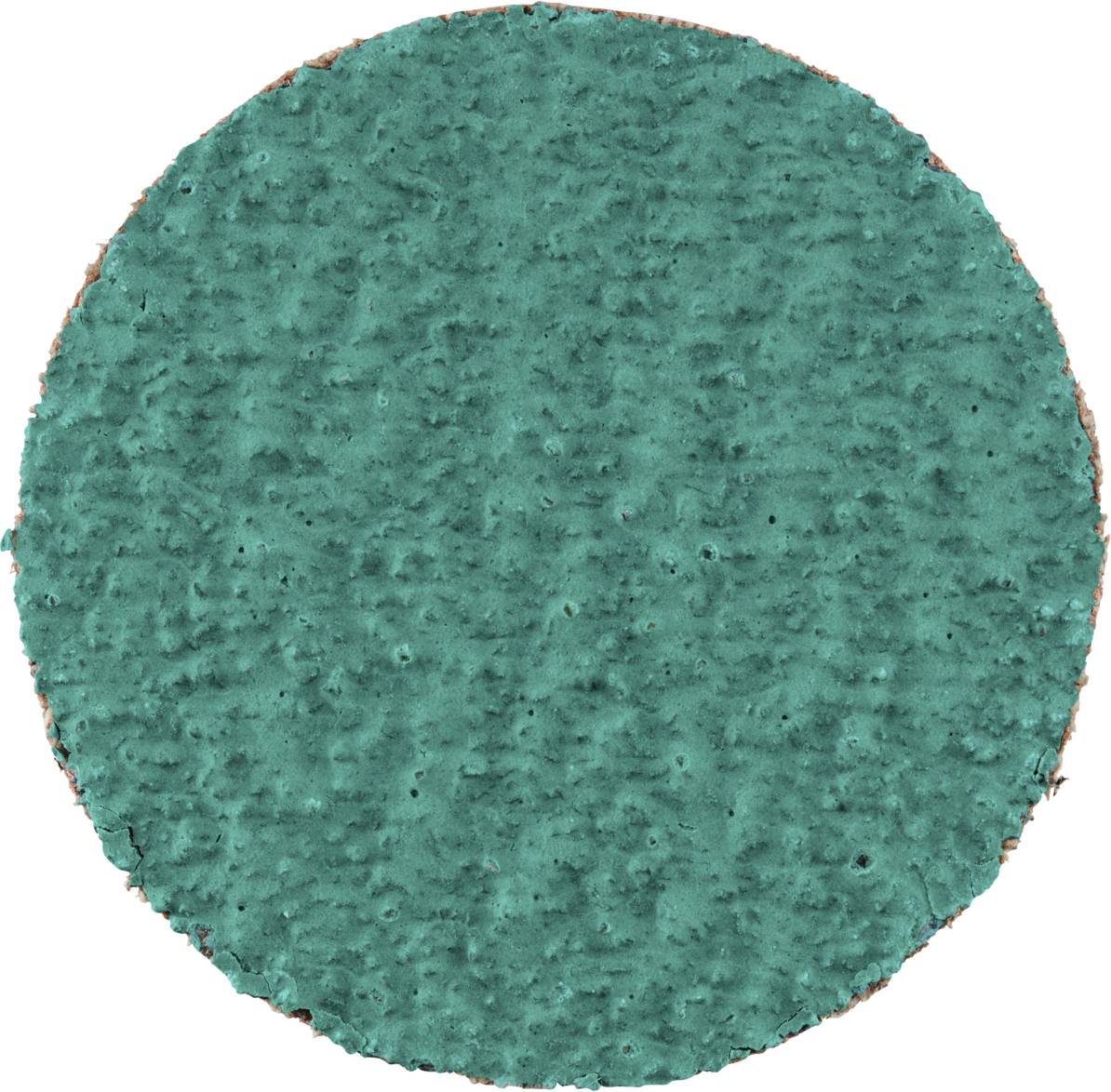 Ein runder, grüner Schleifteller mit rauer Oberfläche, vermutlich für handwerkliche Arbeiten oder Polierprozesse verwendet.
