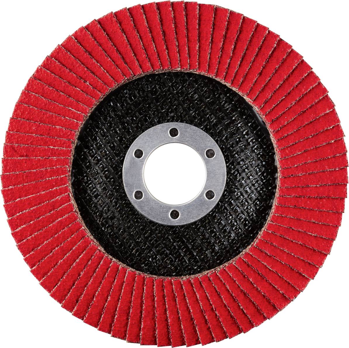 Rhodius 210260 LGK FK Fächerschleifscheibe Edelstahl, Stahl 10St.