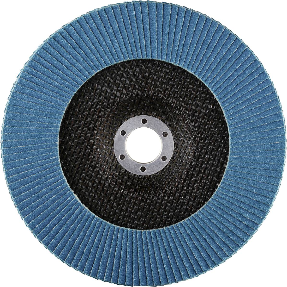 Rhodius 202809 LGZ F1 Fächerschleifscheibe Edelstahl, Stahl 10St.