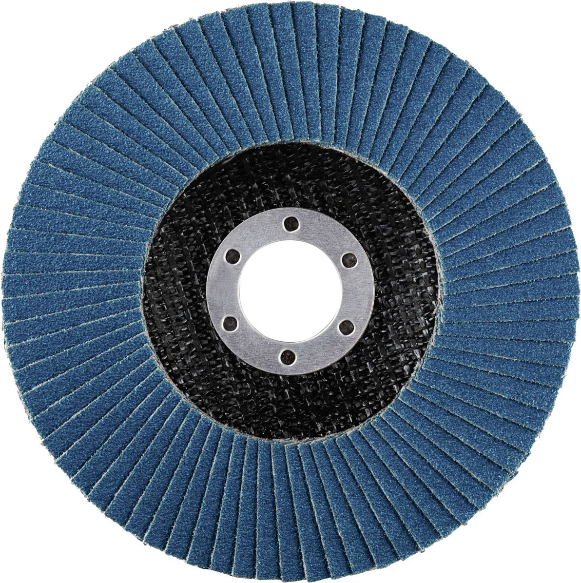 Rhodius 209495 LGZ F2 Fächerschleifscheibe Edelstahl, Stahl 10St.