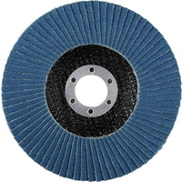 Rhodius 209495 LGZ F2 Fächerschleifscheibe Edelstahl, Stahl 10St. Rhodius 209495 LGZ F2 Fächerschleifscheibe Edelstahl, Stahl 10St.