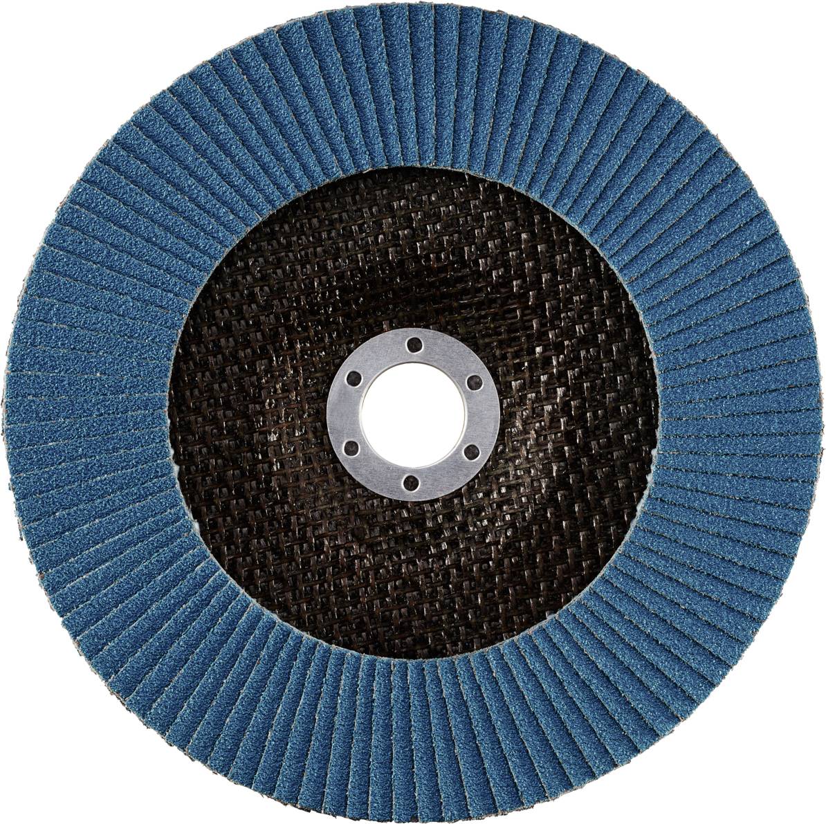 Rhodius 209508 LGZ F2 Fächerschleifscheibe Edelstahl, Stahl 10St.