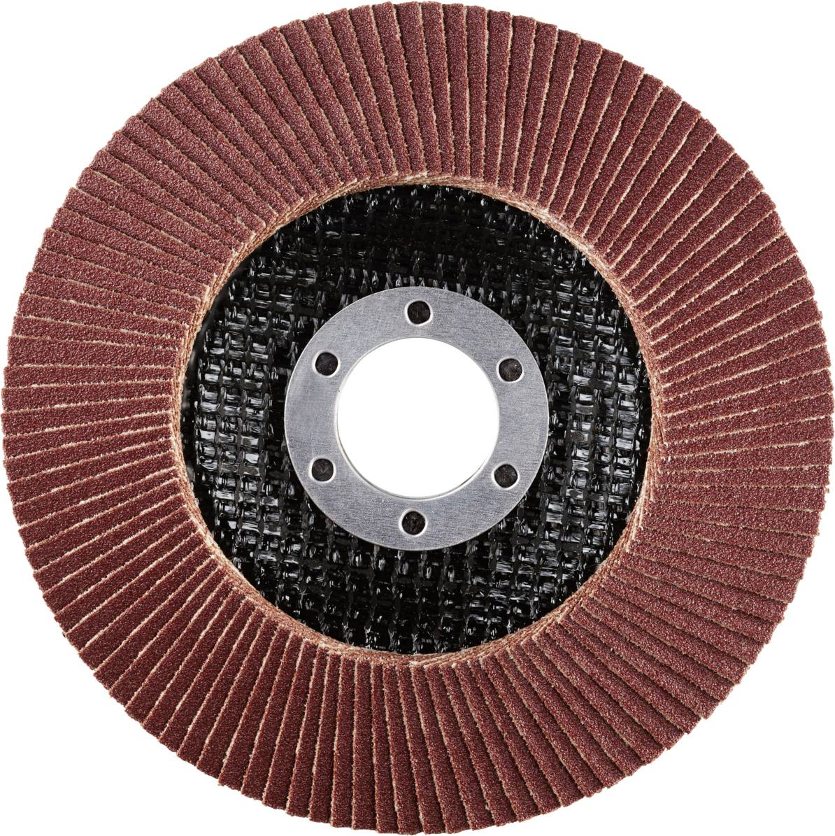 Rhodius 202848 LSA F1 Fächerschleifscheibe Stahl 10St.