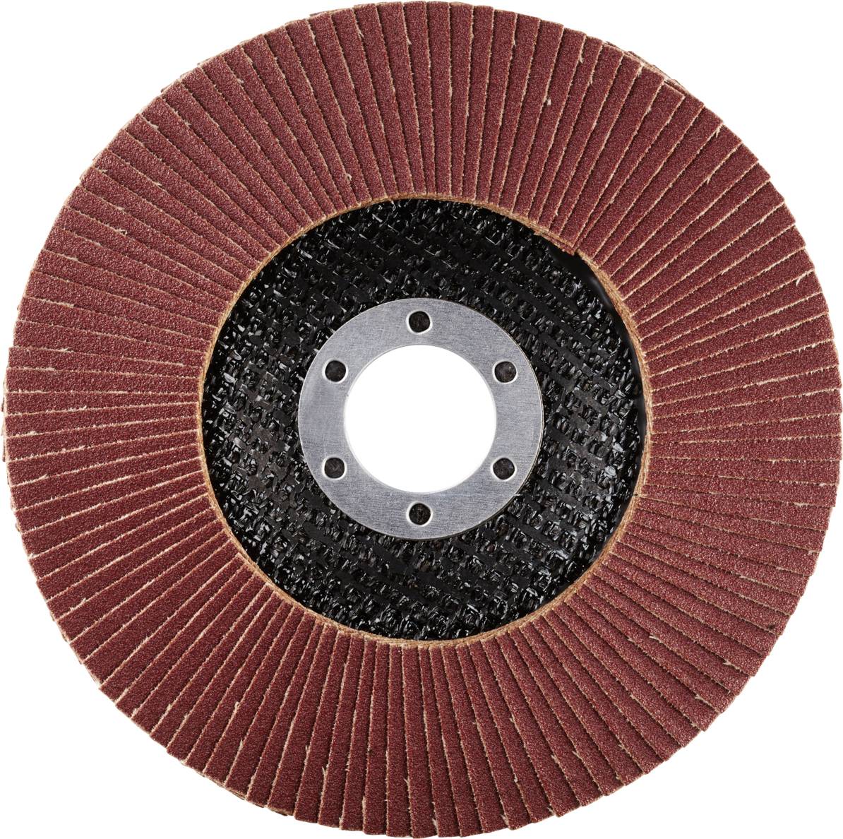 Rhodius 202860 LSA F1 Fächerschleifscheibe Stahl 10St.