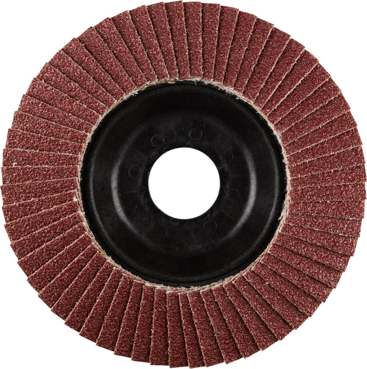 Rhodius 202475 LSA P1 Fächerschleifscheibe Stahl 10St.