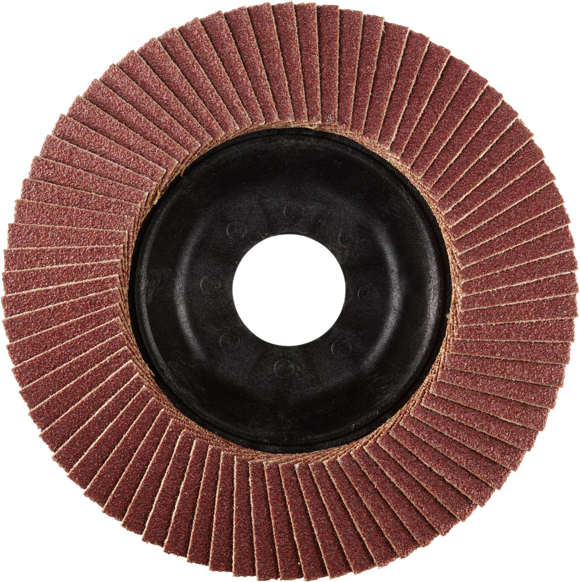 Rhodius 202487 LSA P1 Fächerschleifscheibe Stahl 10St.