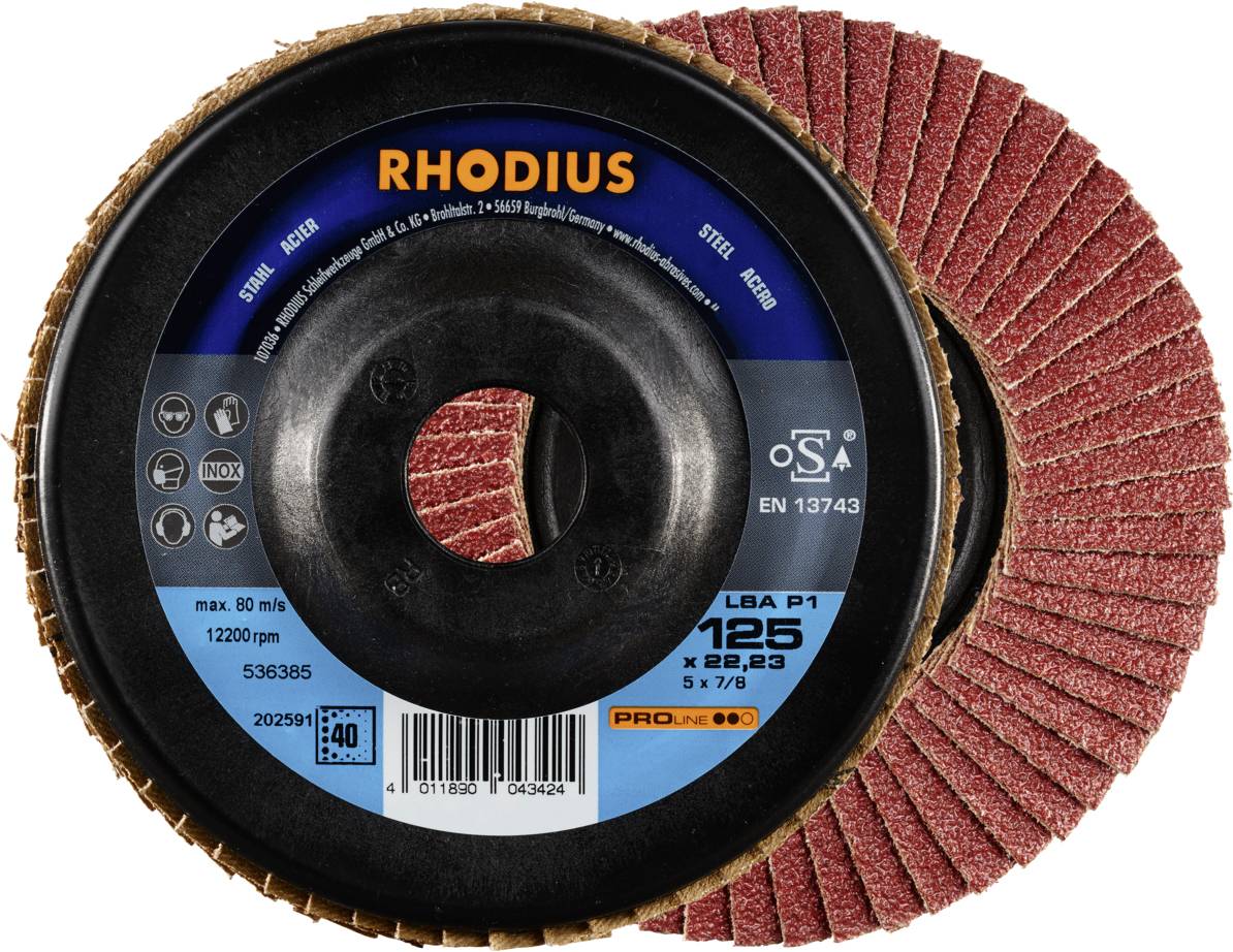 Rhodius 202591 LSA P1 Fächerschleifscheibe Stahl 10St.