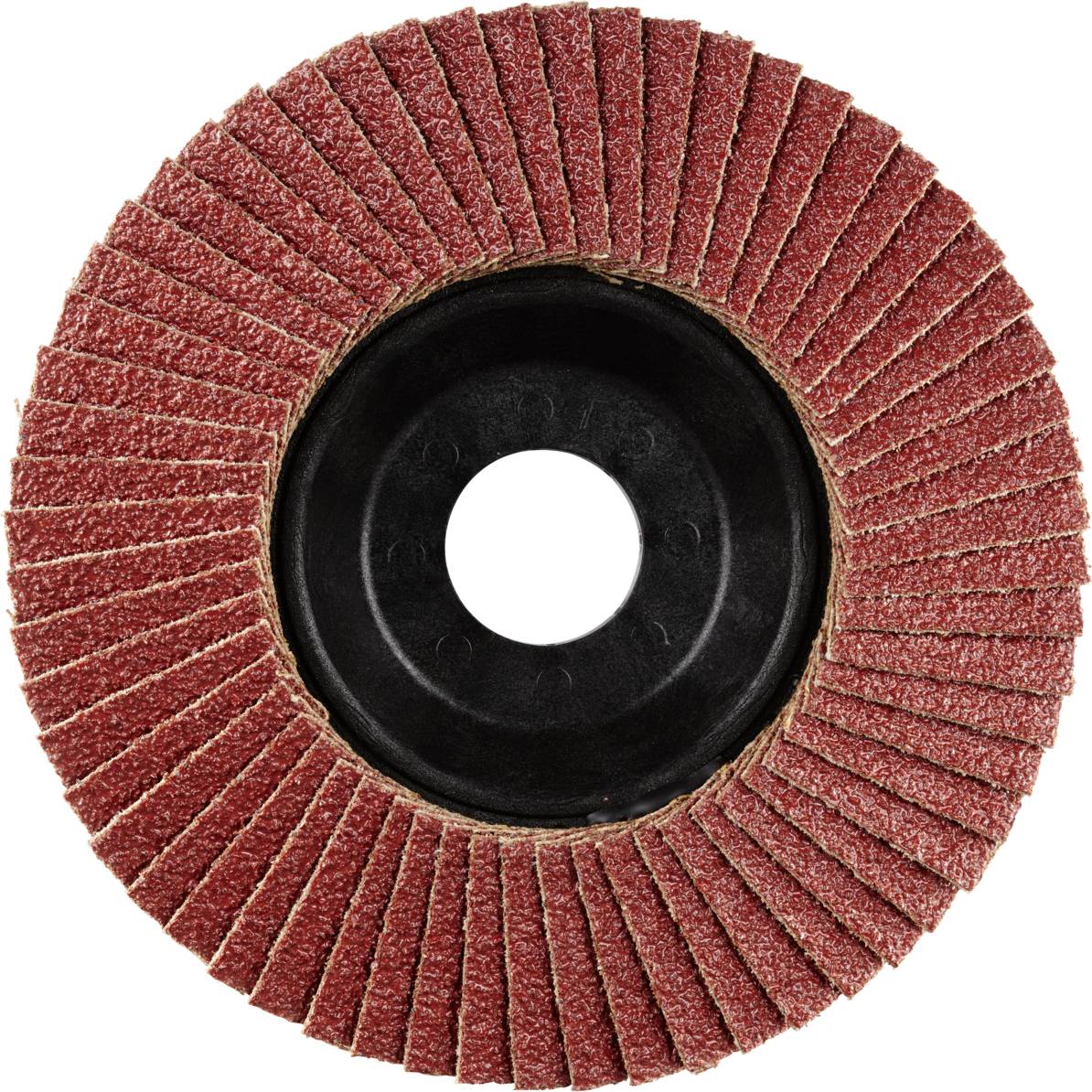 Rhodius 202591 LSA P1 Fächerschleifscheibe Stahl 10St.