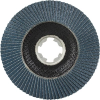 Rhodius 211391 LSZ F1 X-LOCK Fächerschleifscheibe Edelstahl, Stahl 10St. Rhodius 211391 LSZ F1 X-LOCK Fächerschleifscheibe Edelstahl, Stahl 10St.