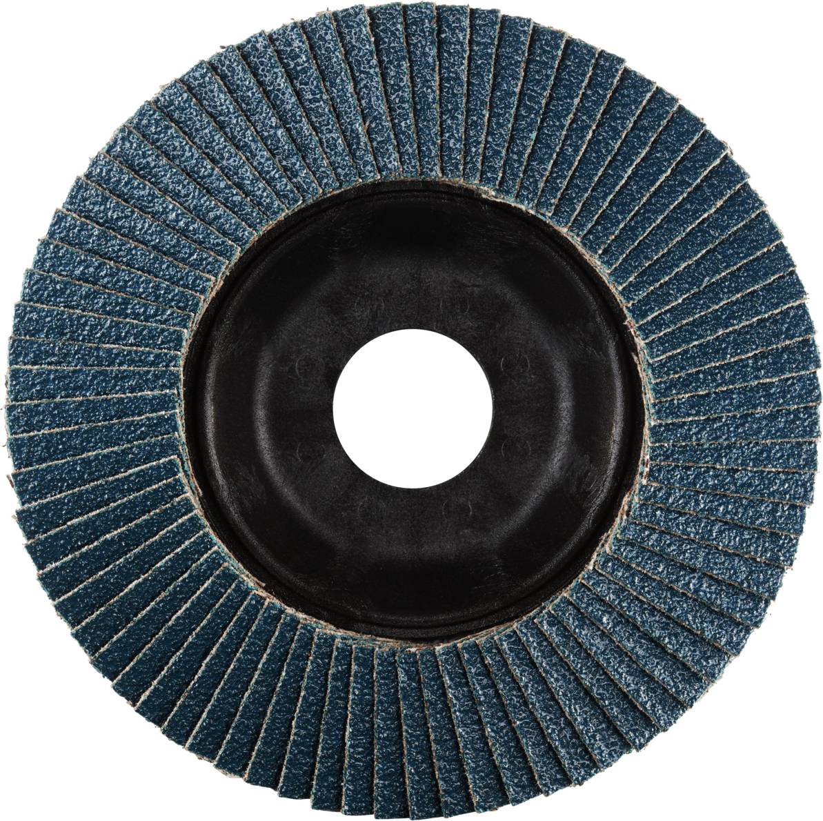 Rhodius 202531 LSZ P1 Fächerschleifscheibe Edelstahl, Stahl 10St.