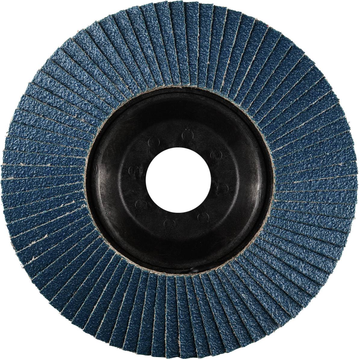 Rhodius 202626 LSZ P1 Fächerschleifscheibe Edelstahl, Stahl 10St.