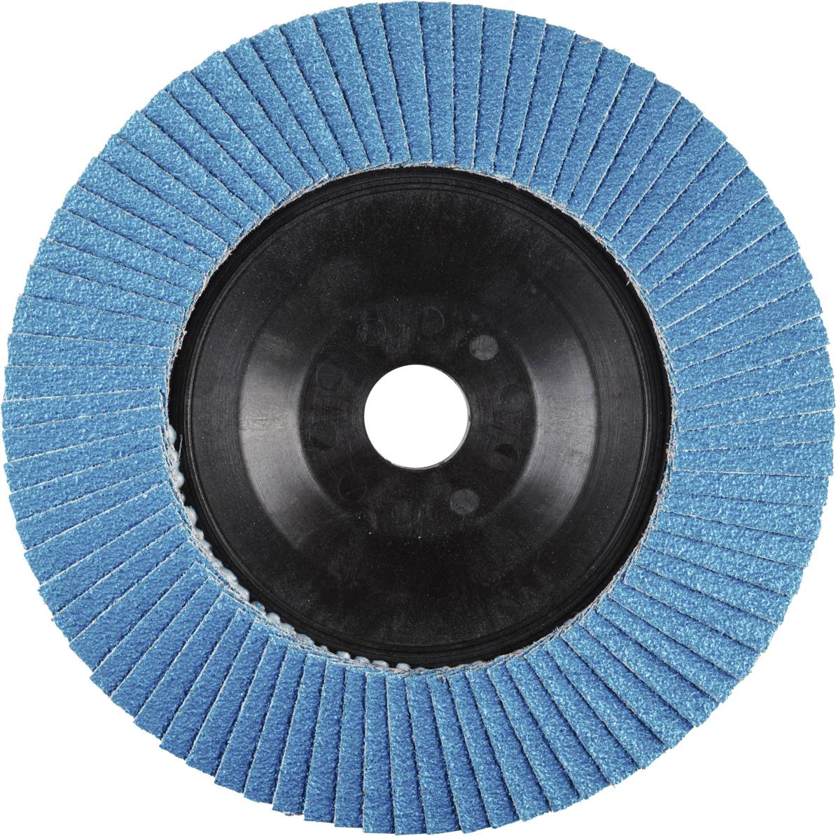 Rhodius 202559 LSZ P1 Fächerschleifscheibe Edelstahl, Stahl 10St.