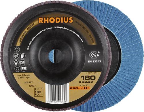 Rhodius 202567 LSZ P1 Fächerschleifscheibe Körnung (num) 60 Edelstahl, Stahl 10 St.