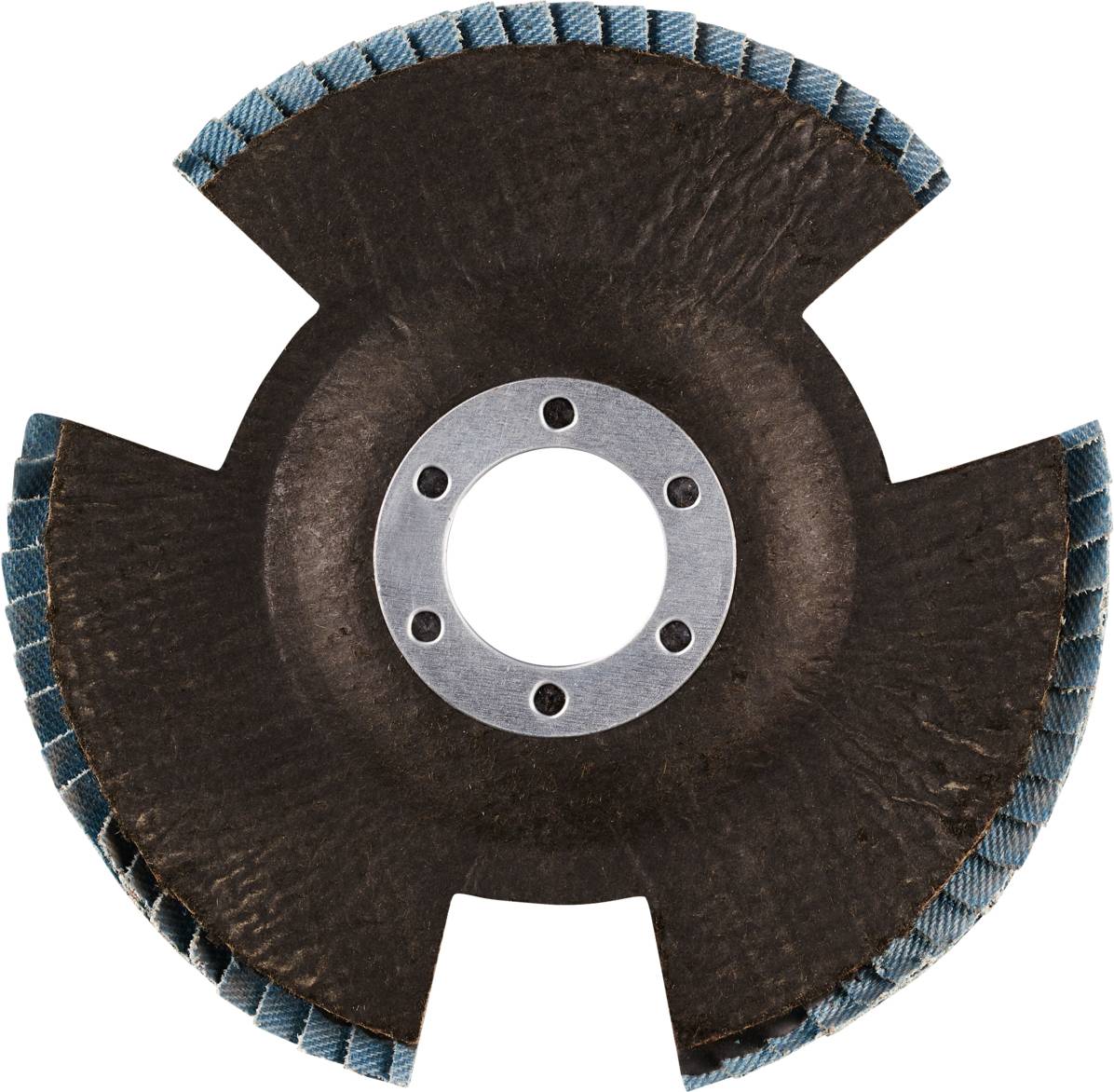 Rhodius 210637 VISION PRO Fächerschleifscheibe 10St.