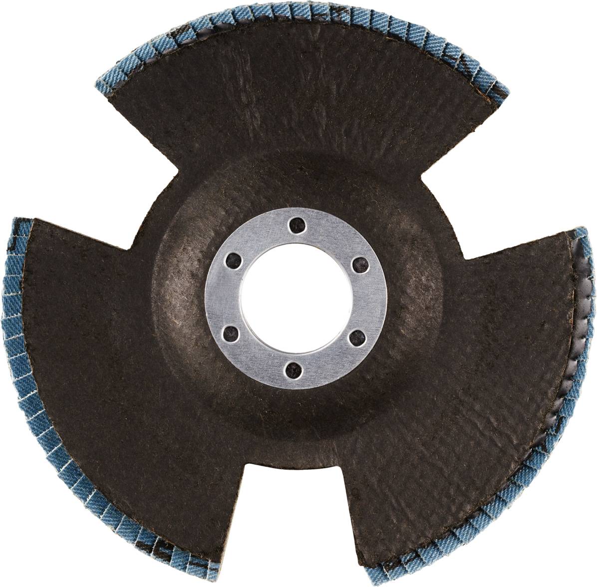 Rhodius 210633 VISION PRO Fächerschleifscheibe 10St.