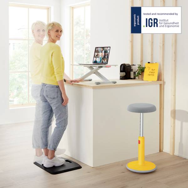 Leitz 65320085 Sitz-Steh-Schreibtischaufsatz