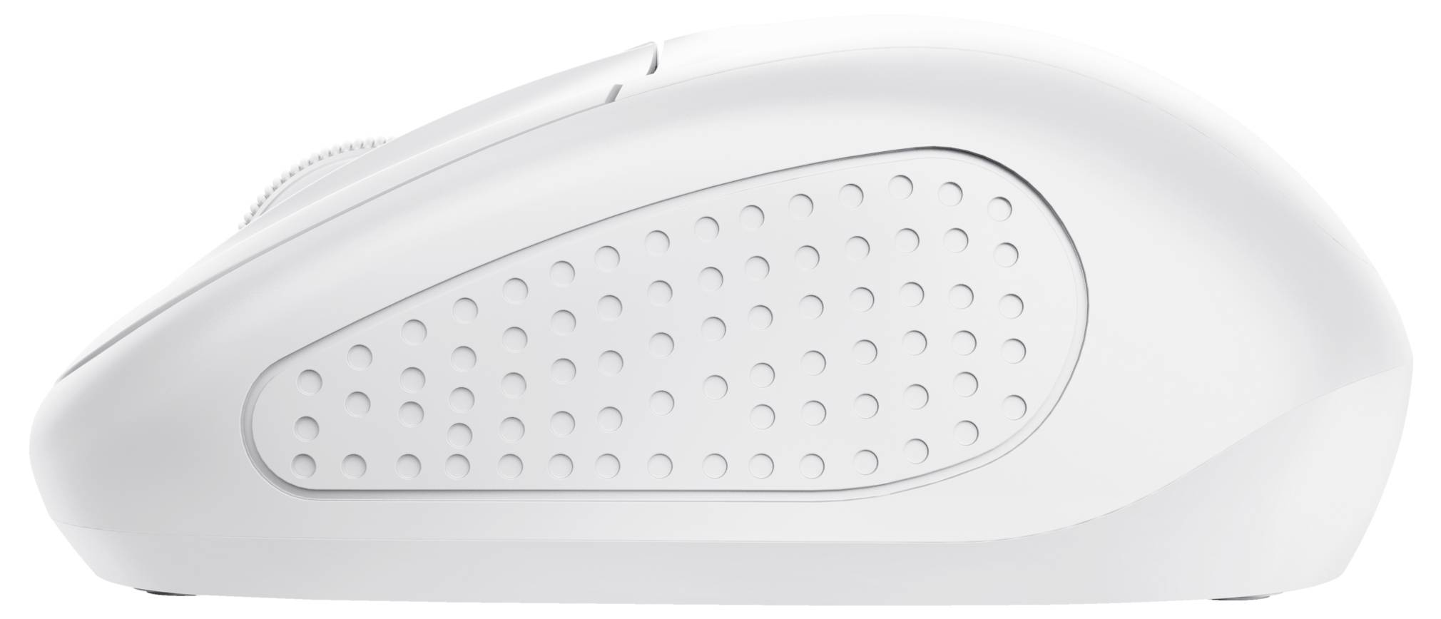 Trust Primo Funkmaus - Weiß Maus Kabellos Weiß