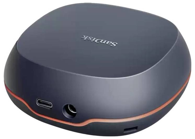 SanDisk 8 TB Externe SSD USB-C® (USB 3.2 Gen 2) Grau SDSSDT40-8T00-EM25