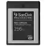 SanDisk PRO-CINEMA CFexpress® VPG400 Type B CFexpress®-Karte Retail 256GB SanDisk PRO-CINEMA CFexpress® VPG400 Type B CFexpress®-Karte Retail 256GB
