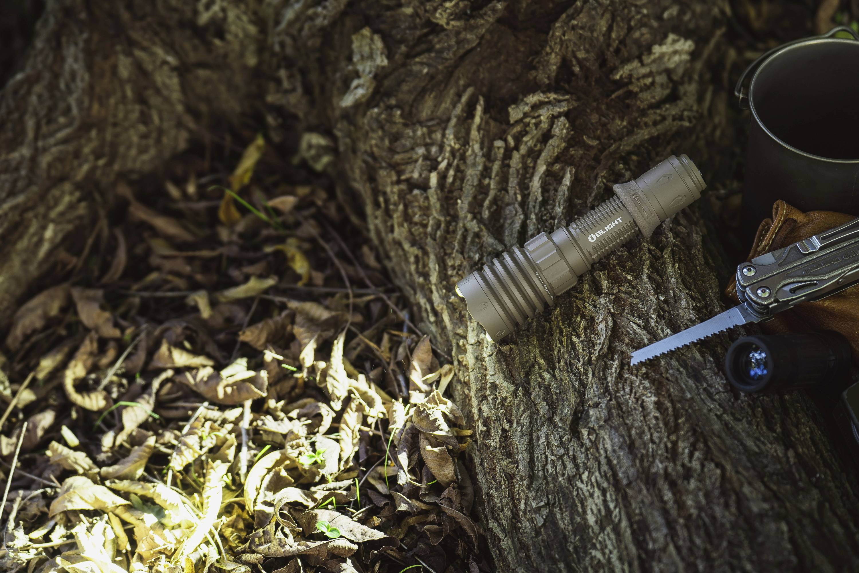Taschenlampe liegt auf einem Baumstamm in einem Wald, umgeben von Herbstlaub. Ein Multitool liegt daneben. Natürliche Beleuchtung.