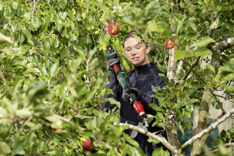 Bosch Home and Garden 06008C5001 AdvancedPrune 18V-45 Akku-Gartenschere 18V Li-Ion