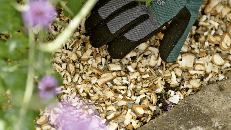 Bosch Home and Garden AXT RAPID 2200 Elektro Messer-Häcksler 2200W