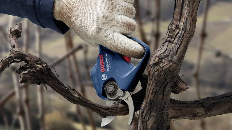 Eine behandschuhte Hand schneidet mit einer blauen Astschere der Marke Bosch einen Weinstock. Hintergrund zeigt unscharfe Weinberge.