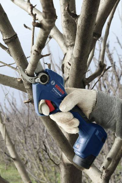 Eine Person schneidet mit einer elektrischen Astschere einen Ast eines Baumes ab. Die Person trägt Handschuhe für den Schutz.