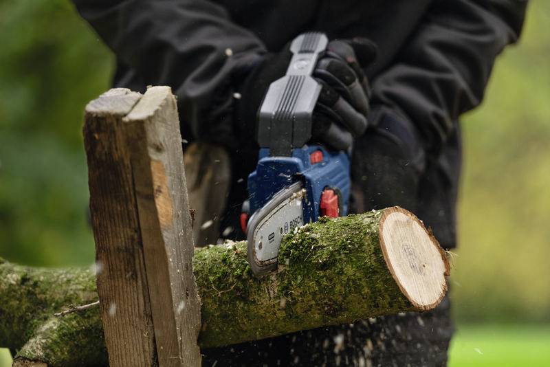 Bosch Professional 06008D7000 GKE 18V-15 Akku Akku-Hochentaster