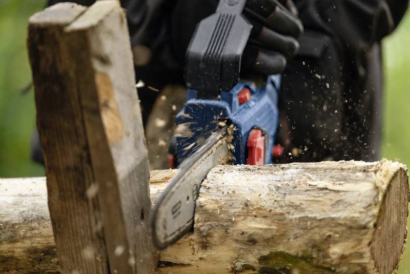 Person mit blauer Motorsäge schneidet Baumstamm in Waldumgebung. Holzspäne fliegen durch die Luft.