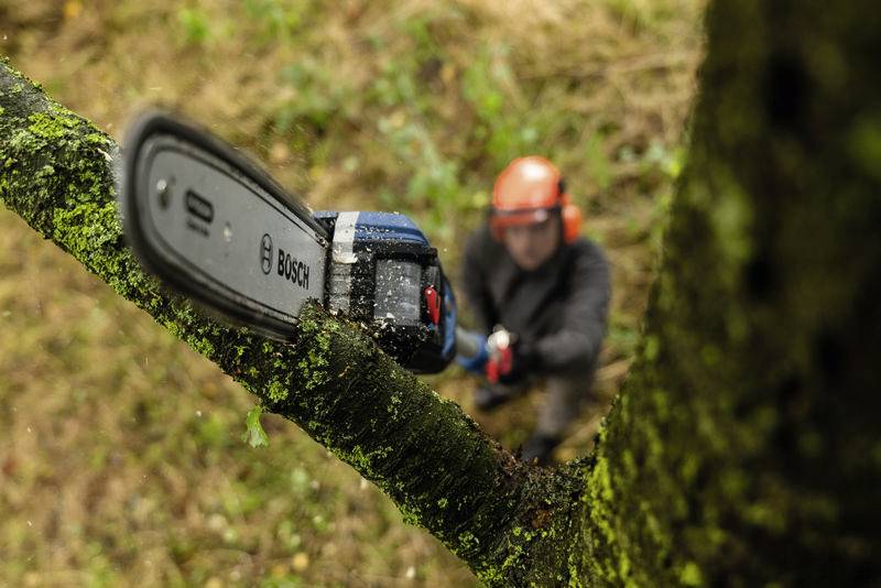 Ein unscharfer Arbeiter schneidet mit einer Motorsäge einen Ast ab. Die Säge ist scharf im Vordergrund, der Arbeiter trägt Schutzkleidung.