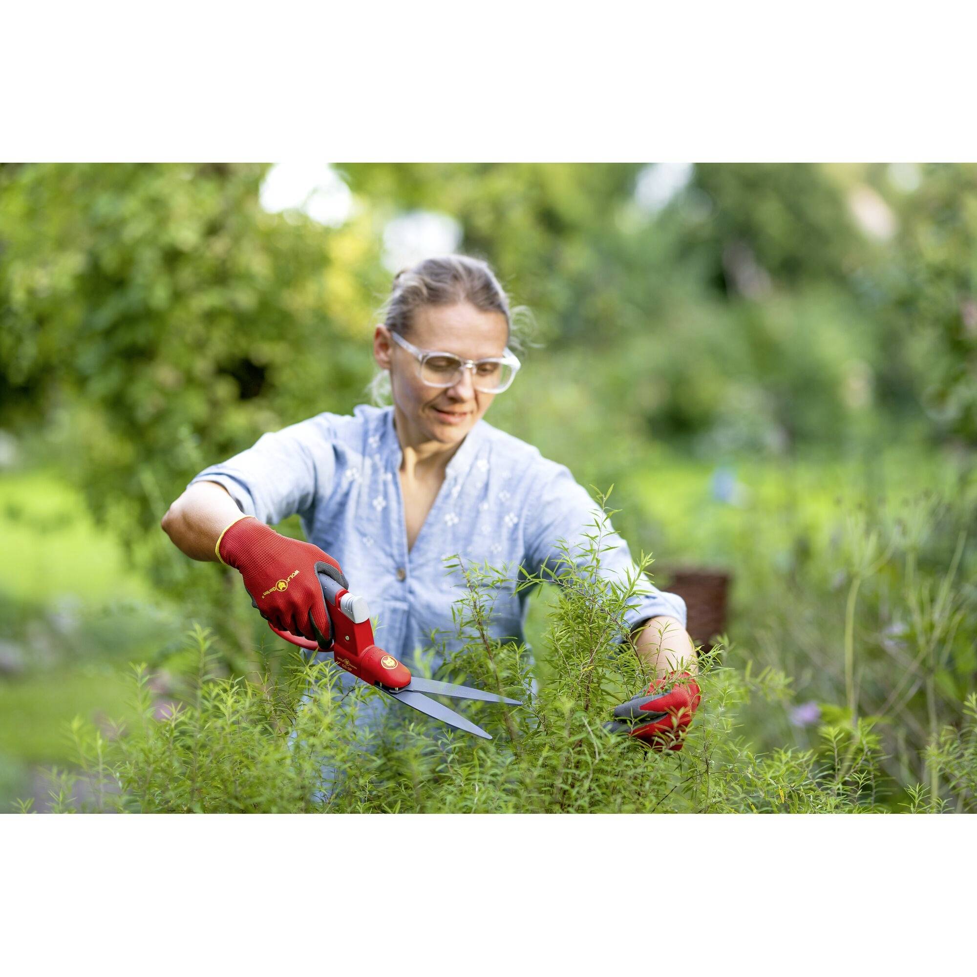 WOLF-Garten 73AJA007650 Premium GS-3P Hand Grasschere