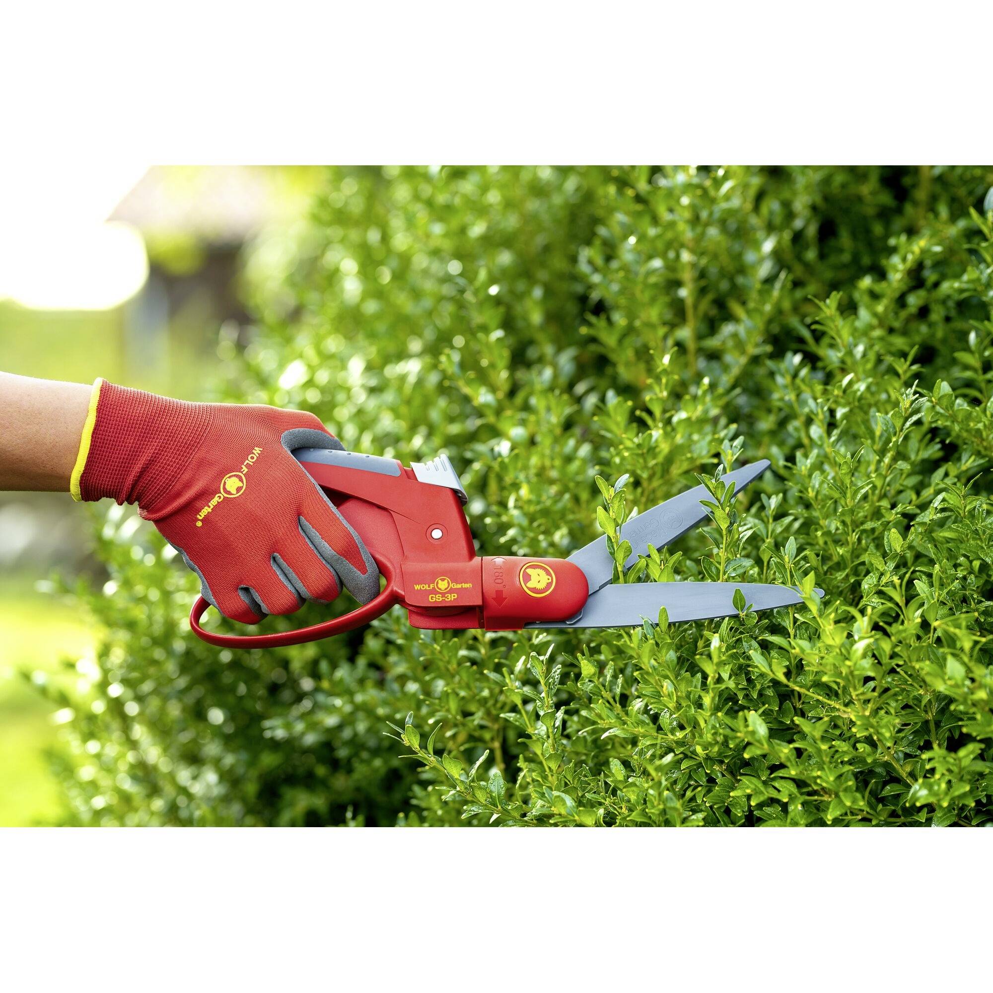 WOLF-Garten 73AJA007650 Premium GS-3P Hand Grasschere