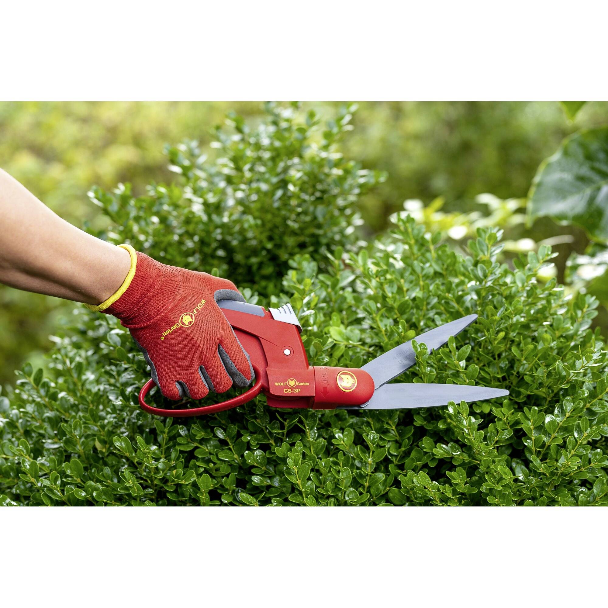 WOLF-Garten 73AJA007650 Premium GS-3P Hand Grasschere