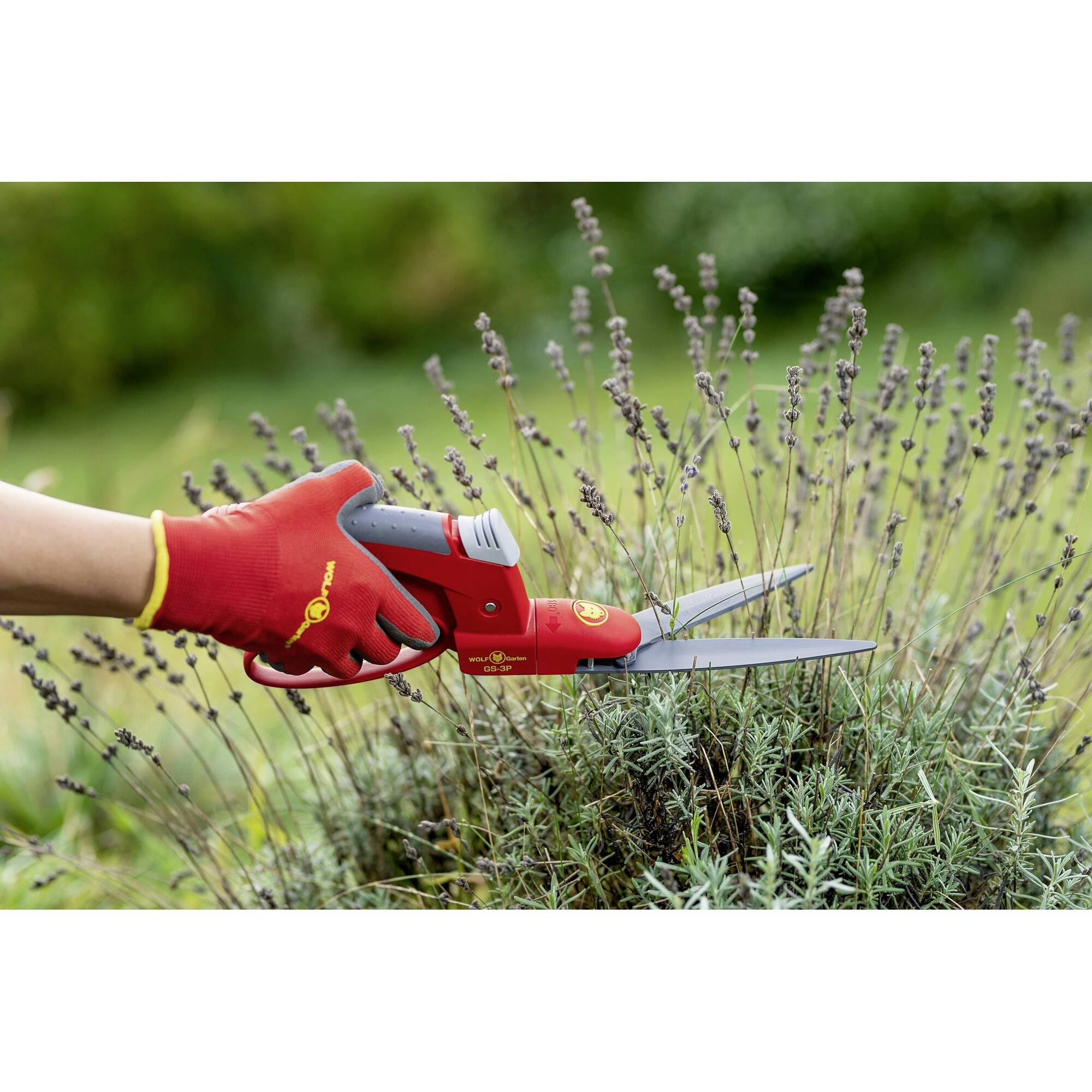WOLF-Garten 73AJA007650 Premium GS-3P Hand Grasschere