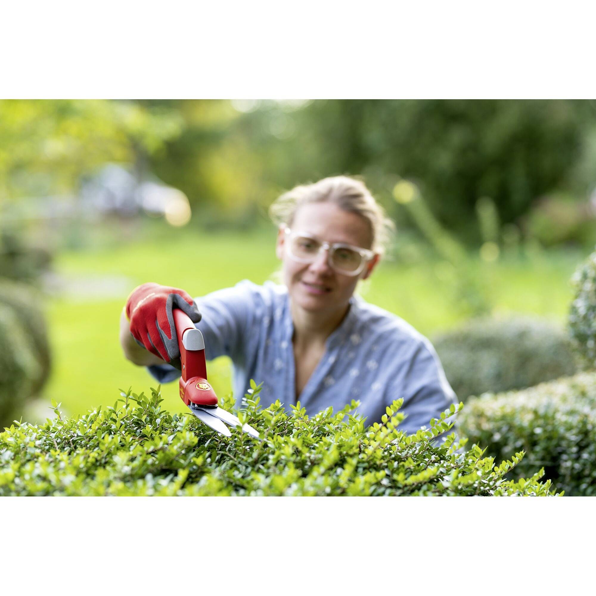 Eine Person schneidet mit einer Heckenschere eine Hecke im Garten. Die Person trägt Brille und Handschuhe. Im Hintergrund ist Natur.