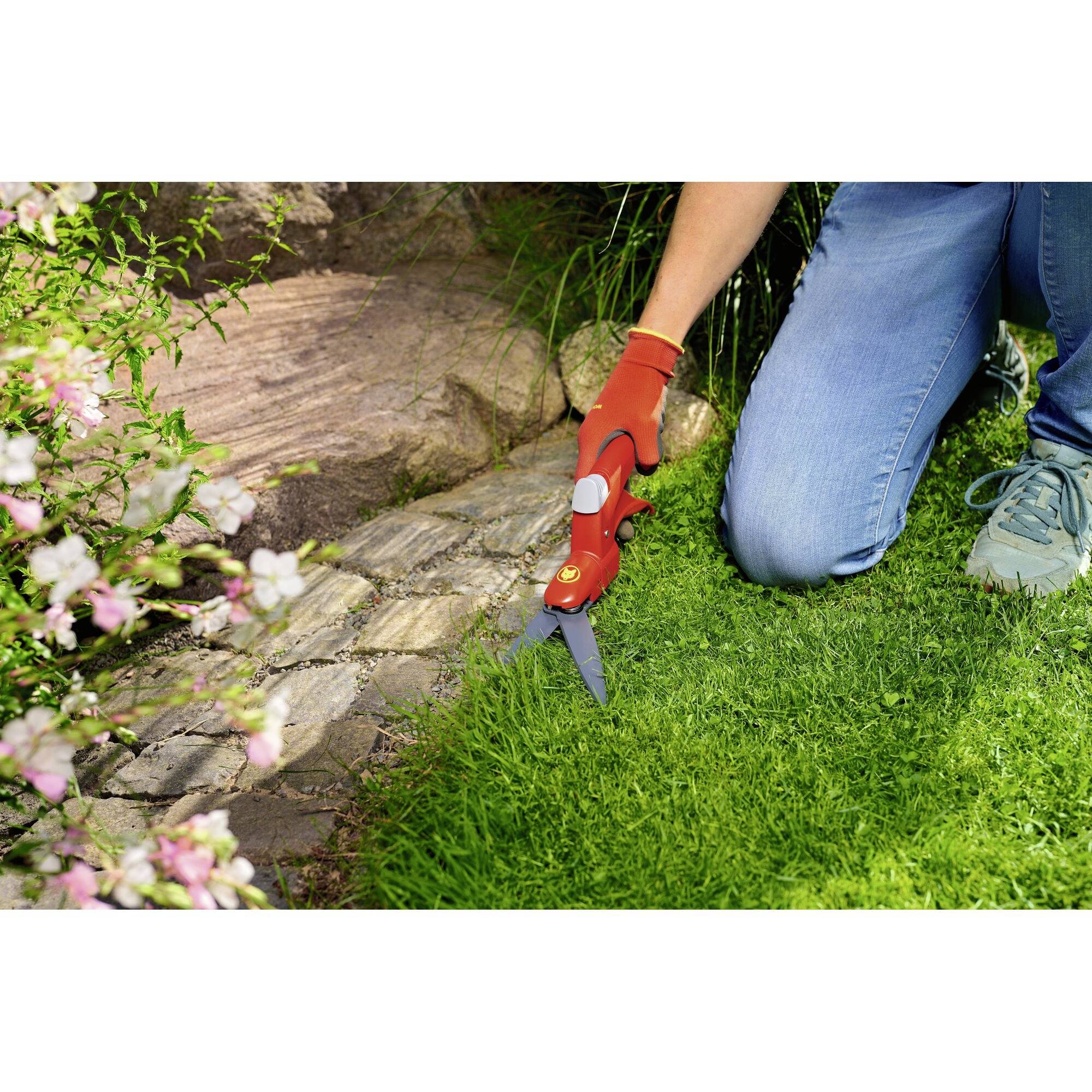 Eine Person kniet auf dem Rasen und schneidet mit einer roten Gartenschere den Rand des Rasens entlang eines Steinwegs. Blumen blühen links.