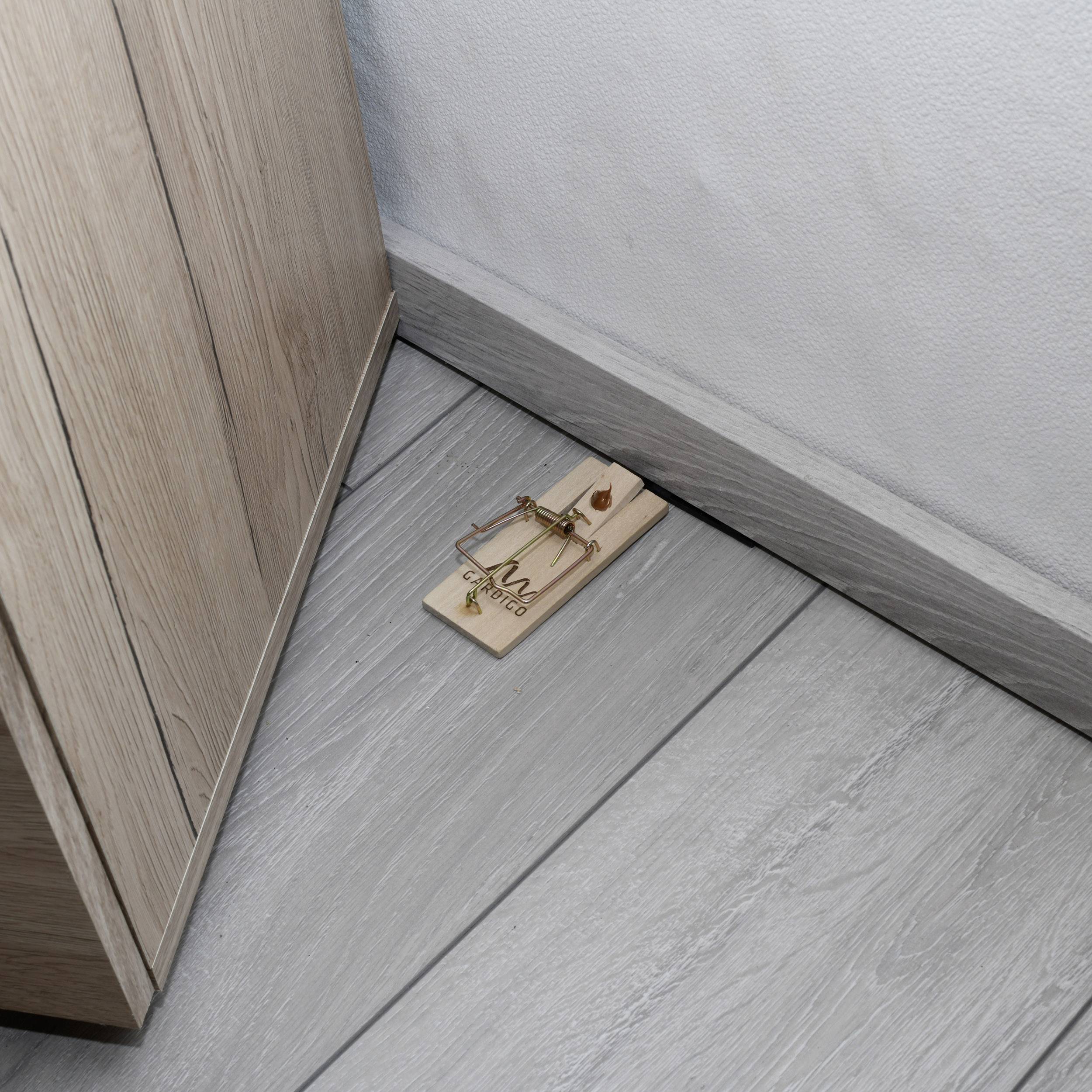 Eine Mausefalle liegt auf einem grauen Holzboden in der Ecke eines Raumes neben einem Holzschrank.