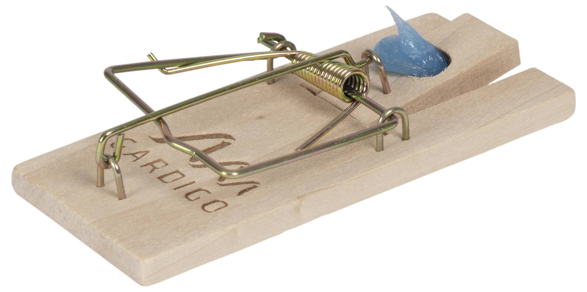 Eine Holz-Mausefalle mit einem blauen Köder auf der Metallfeder.