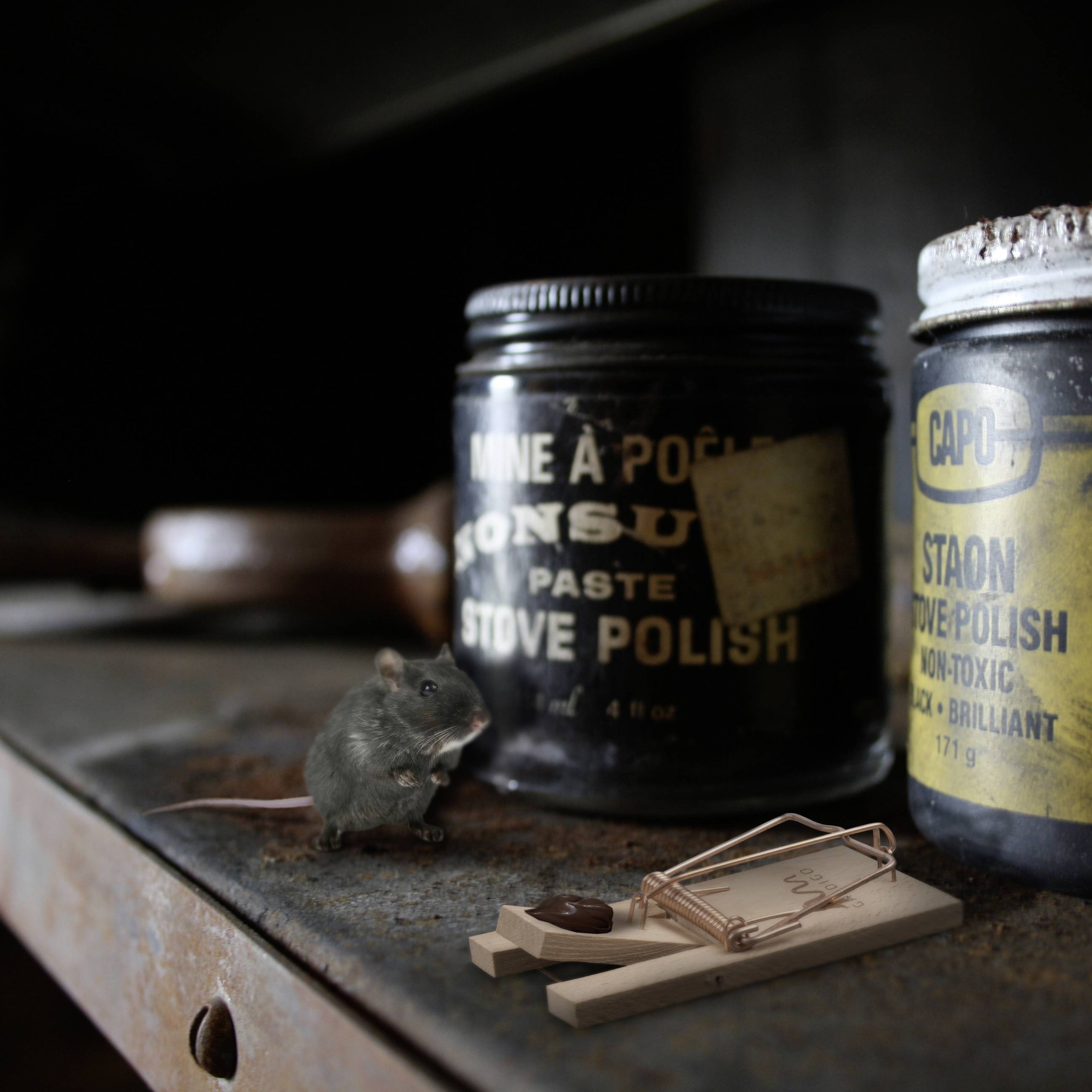 Eine Maus sitzt auf einem alten Regal neben zwei Metallbehältern und einer Mausefalle. Die Szene wirkt veraltet und verlassen.