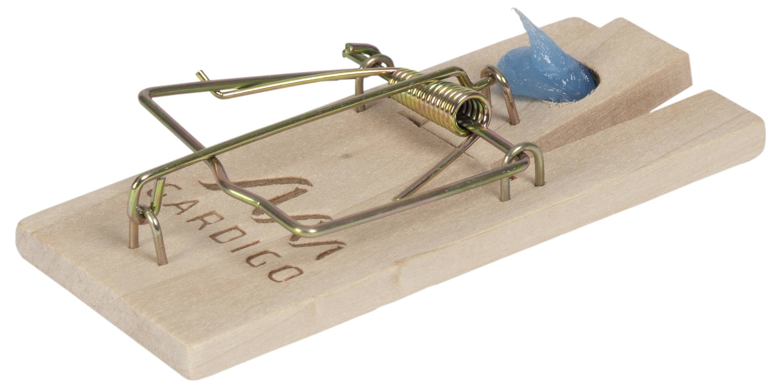 Eine Mausefalle aus Holz mit Metallbügel, platziert auf einer hölzernen Oberfläche. Eine blaue Köderpaste ist am Ende der Falle angebracht.