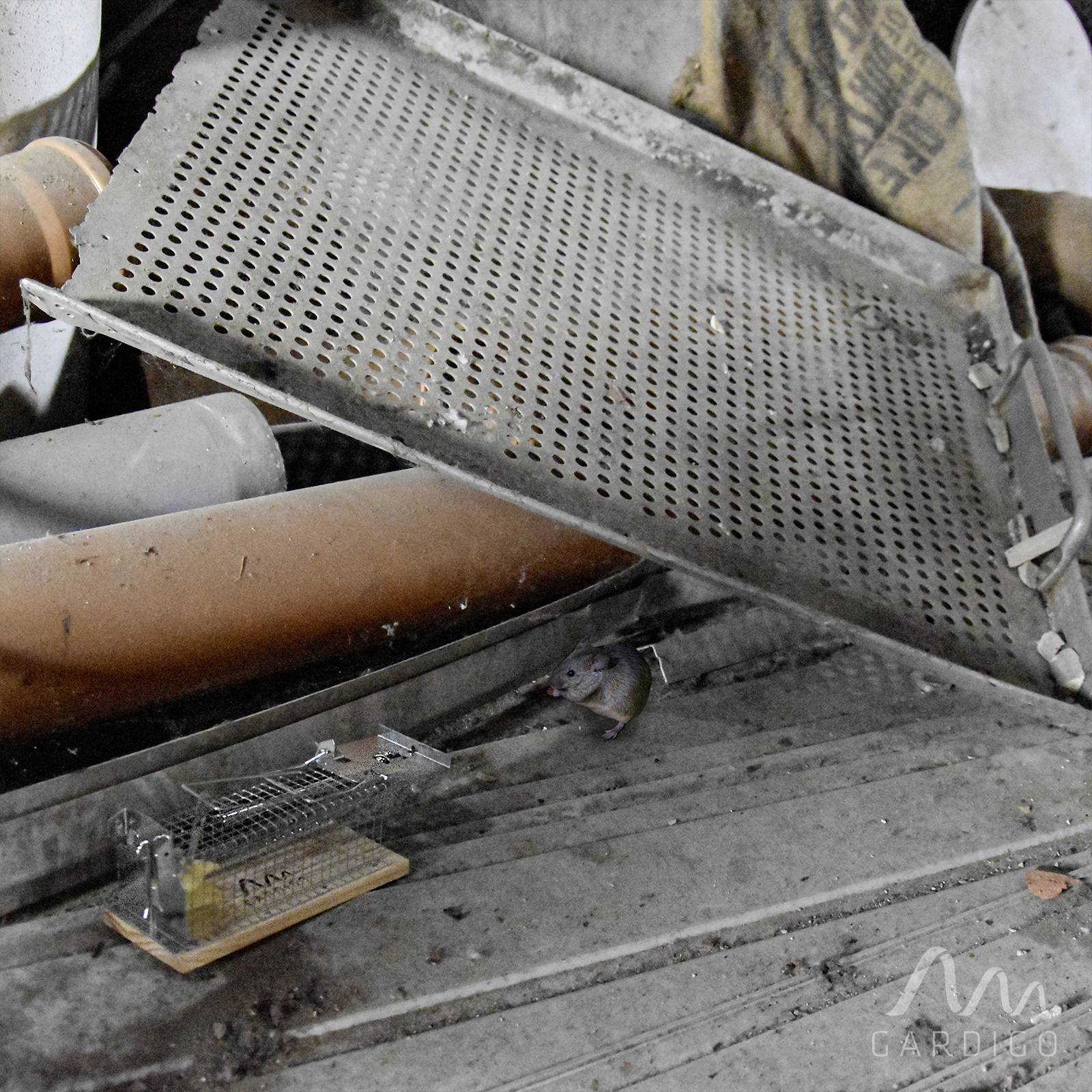 Altes, rostiges Sieb auf Holzboden zwischen anderen Metallteilen.