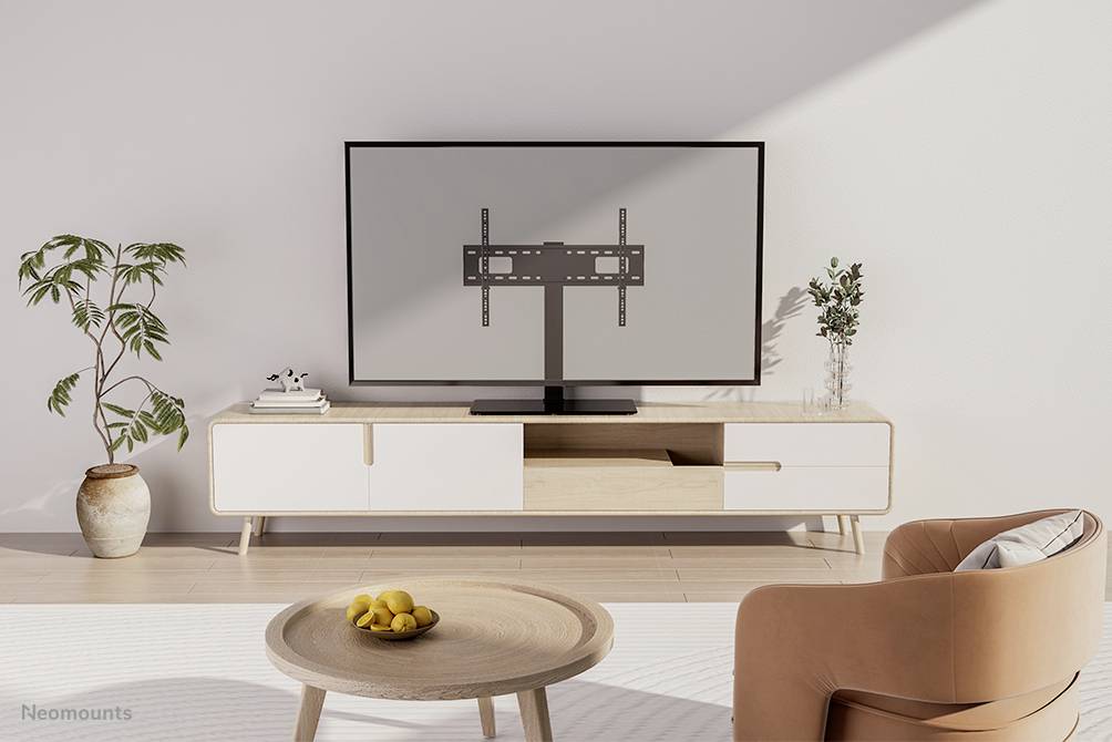 Im Wohnzimmer steht ein Fernseher auf einem niedrigen Holzregal. Daneben sind Pflanzen im Raum dekorativ platziert.